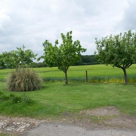 Woodview B Colchester Birch Eksteriør bilde