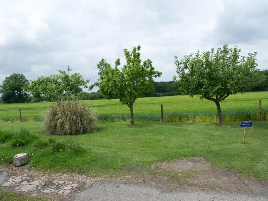 Woodview B Colchester Birch Eksteriør bilde