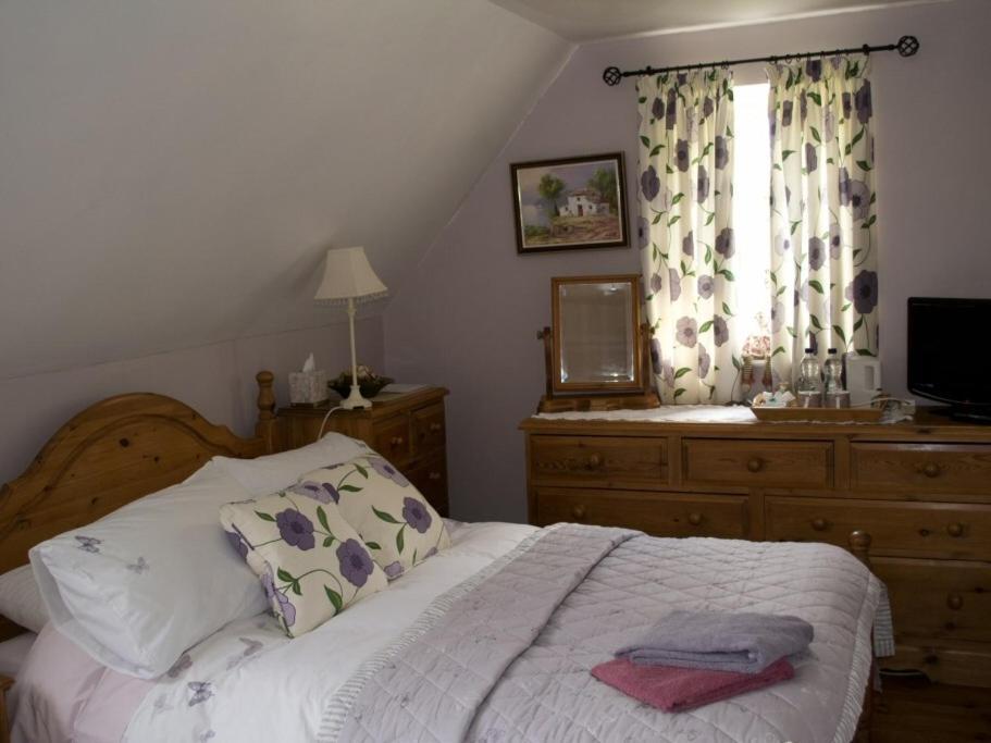 Woodview B Colchester Birch Rom bilde